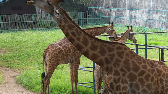 Bangladesh National Zoo