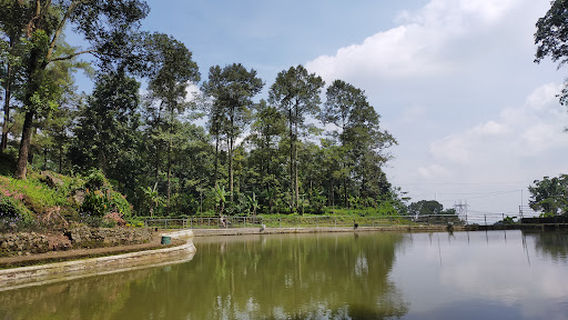 Wisata Alam Cibuluh pasawahan