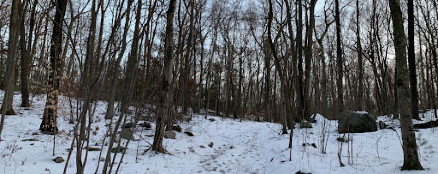 Elderslie Preserve