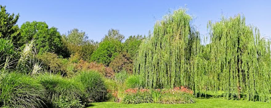 Giardino degli Angeli
