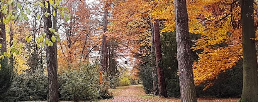 Liptovský Hrádok arboretum