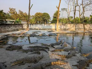 Reptiles Farm Limited
