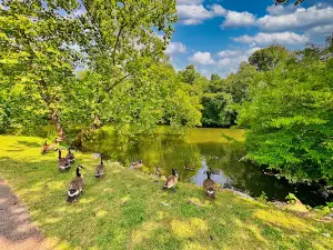 Cherokee County Recreation