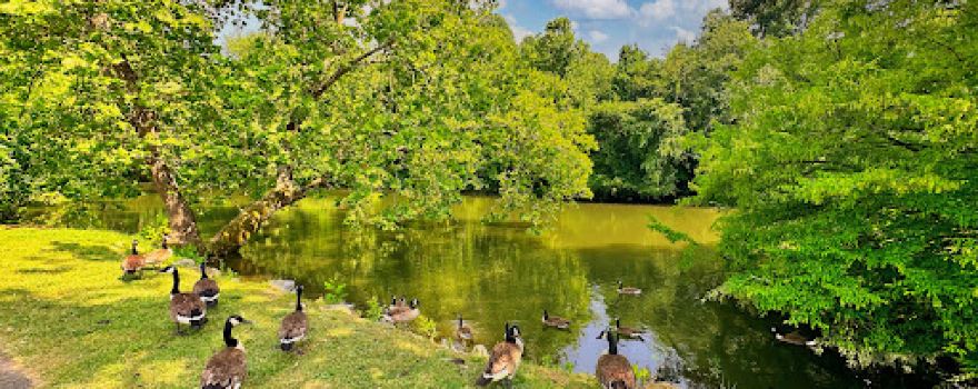 Cherokee County Recreation