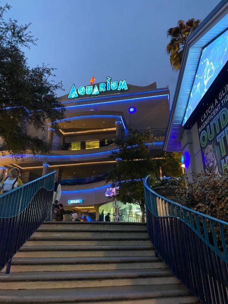 Downtown Aquarium