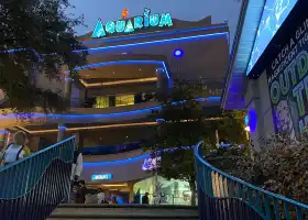 Downtown Aquarium