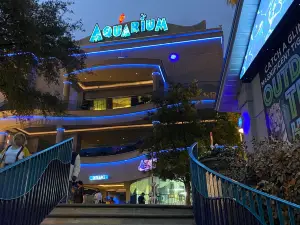 Downtown Aquarium