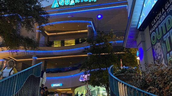 ダウンタウン水族館