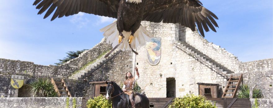 Les Aigles Des Remparts