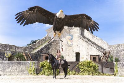 The Eagles of the ramparts - Vol Libre Production