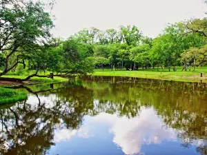 Botanical Garden of Asunción