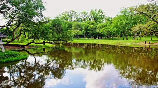 Botanical Garden and Zoo of Asunción