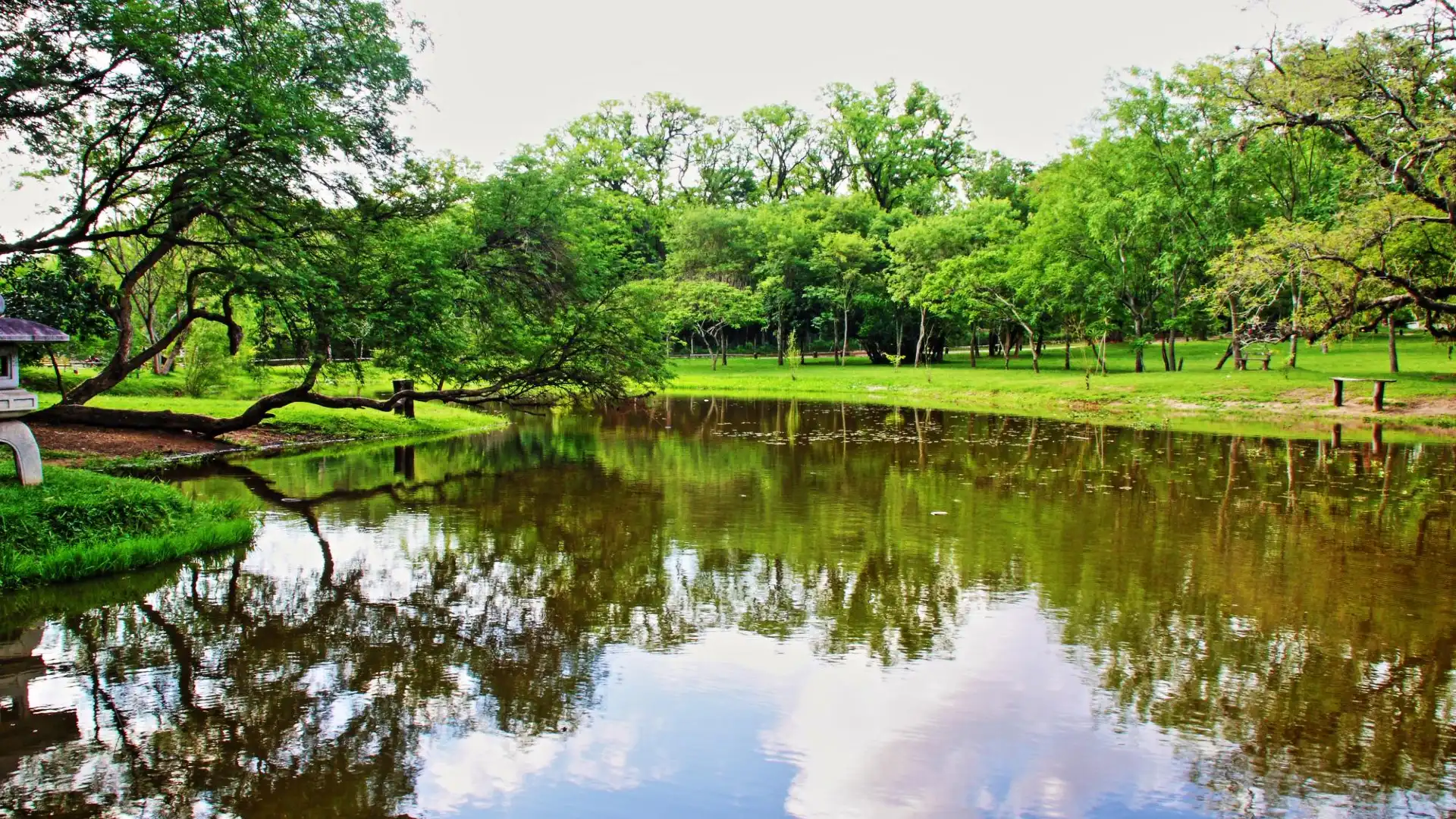 Hotel dekat Botanical Garden and Zoo (Jardin Botanico y Zoologico)