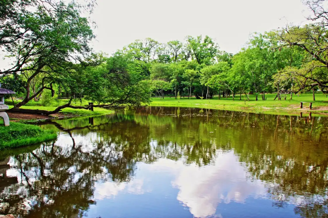 Hotel in zona Botanical Garden and Zoo (Jardin Botanico y Zoologico)