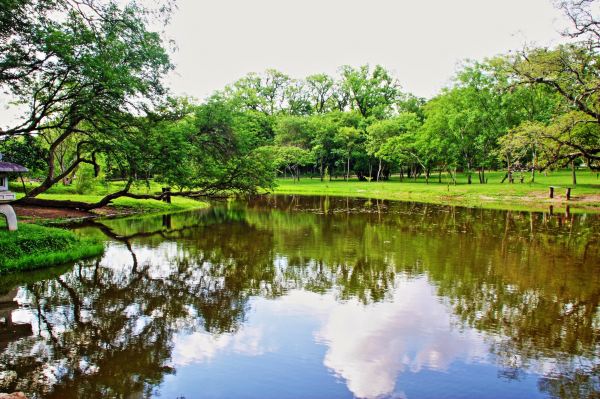 Botanical Garden of Asunción