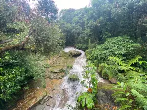 가든 오브 케이브즈