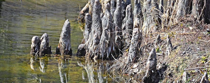 Kickapoo State Recreation Area