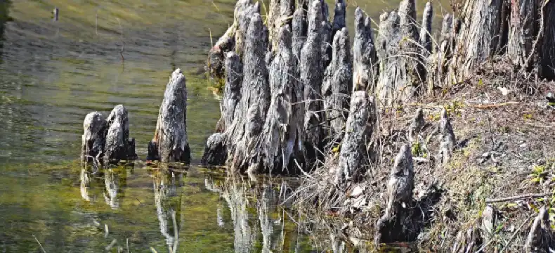 Hotels in Vermilion County