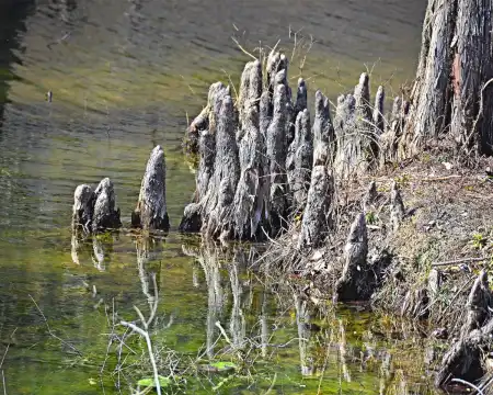 Holiday Inn Express Properties in Vermilion County