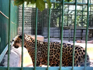 Zoologico Nacional