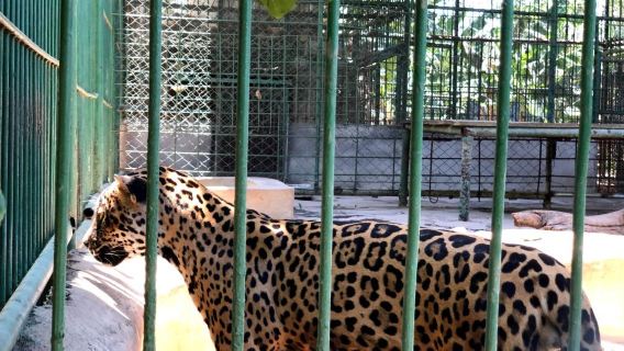 Zoologico Nacional