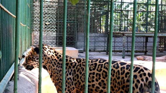 Zoologico Nacional