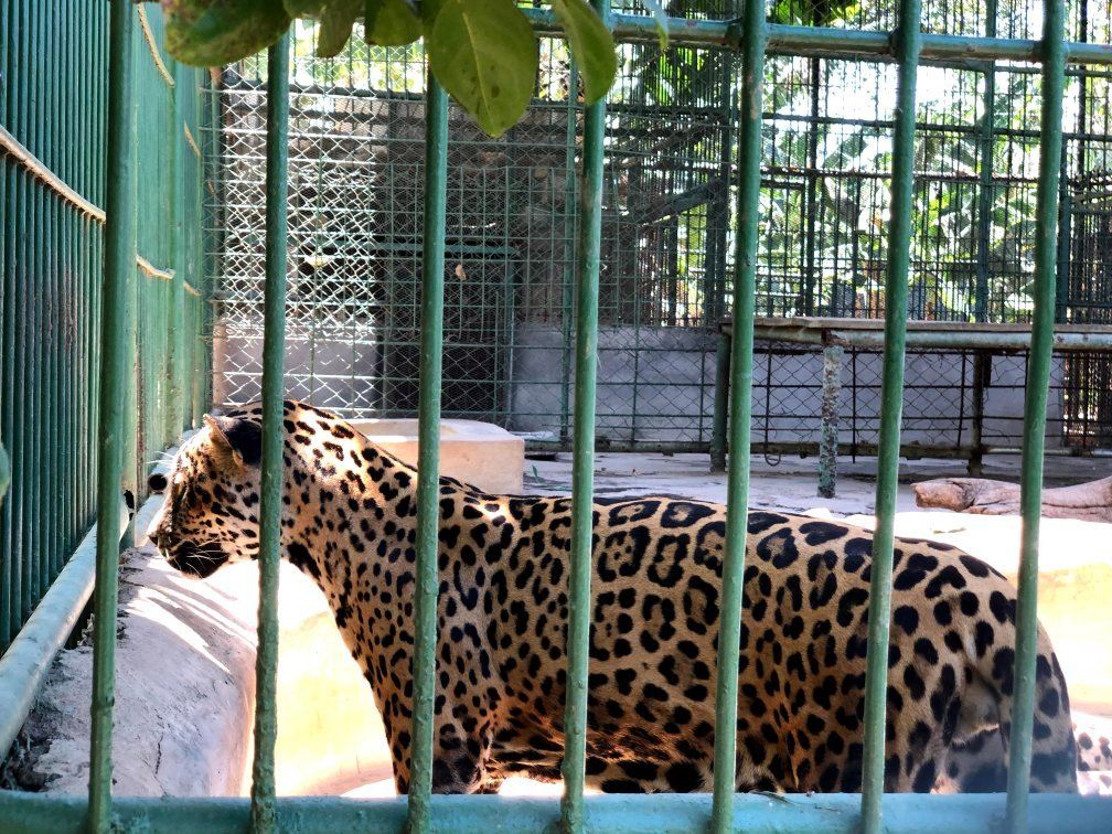 Zoologico Nacional