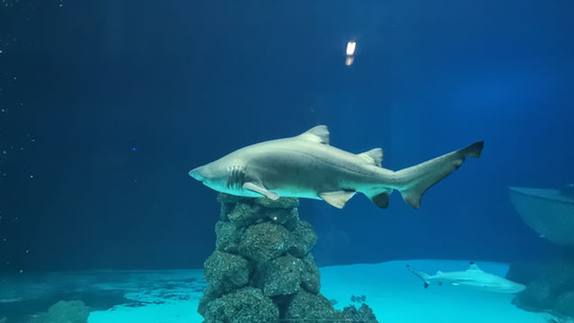 Meereszentrum Fehmarn