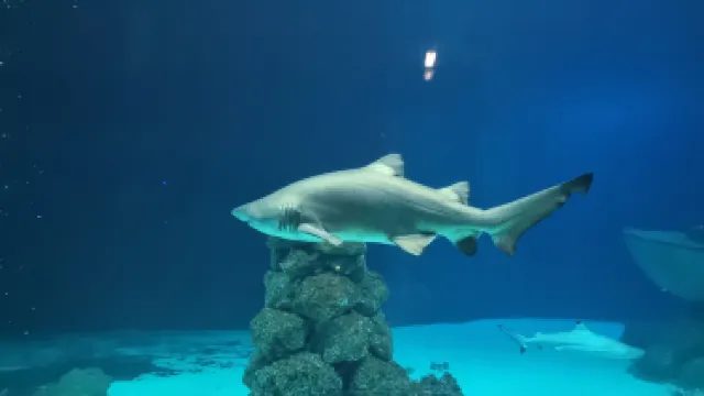 ブルク・アウフ・フェーマルン