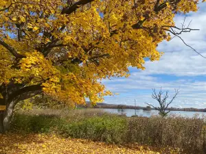 Middle Creek Wildlife Management Area