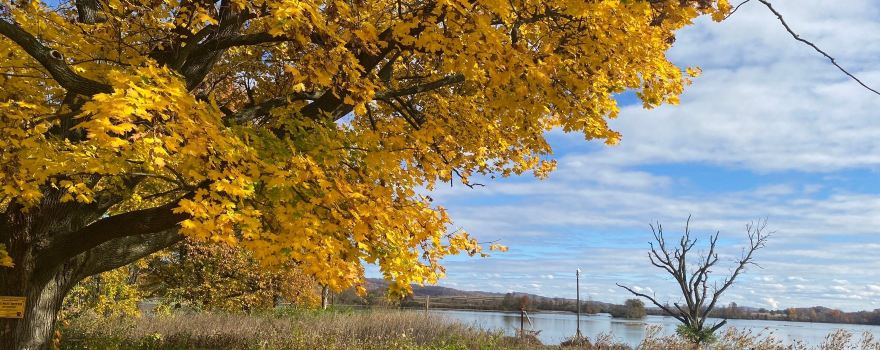 Clay Township