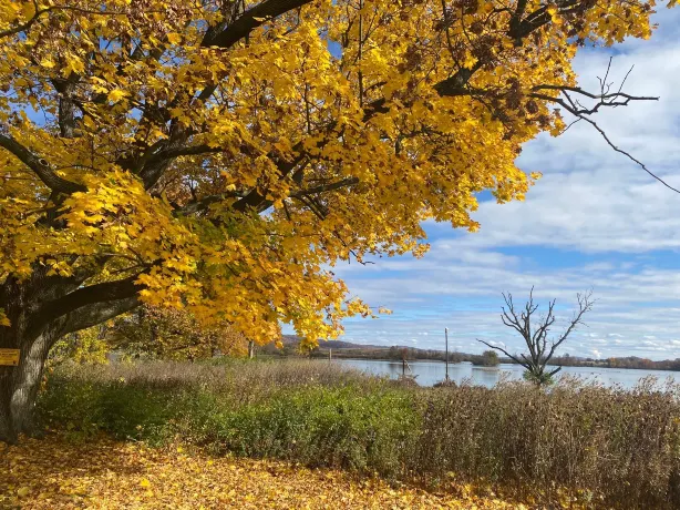 Middle Creek Wildlife Management Area