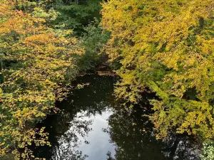 Baumwipfelpfad Bad Harzburg