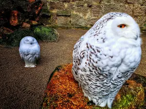 Wildpark Christianental