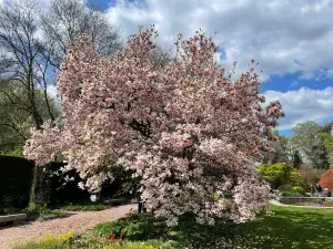 Linz Botanical Garden