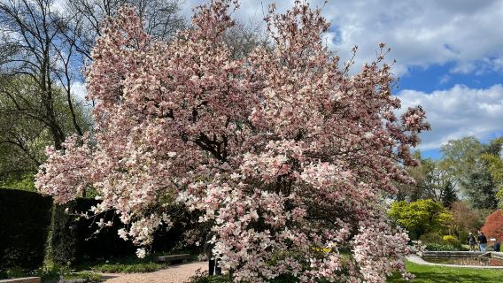 Linz Botanical Garden