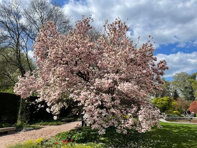 Linz Botanical Garden