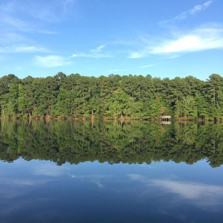 Sandy Bottom Nature Park