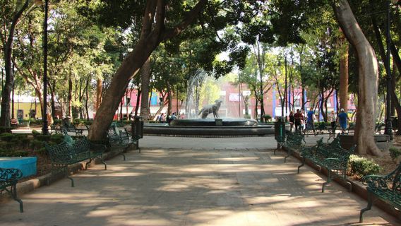 Jardín Hidalgo