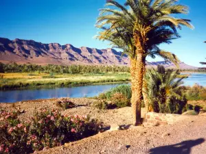 Draa Valley