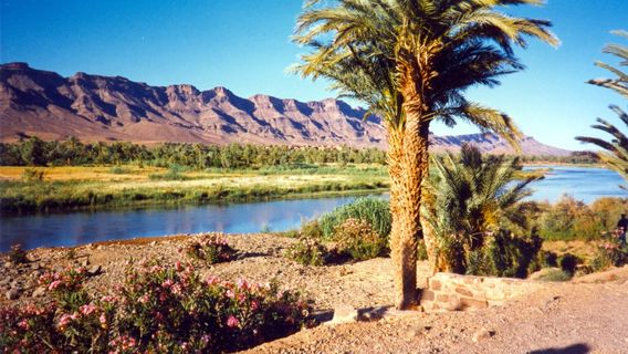 Draa Valley