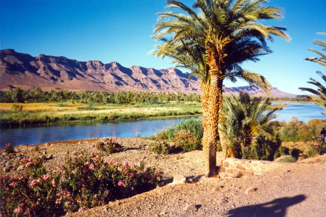 Hotels near Draa Valley