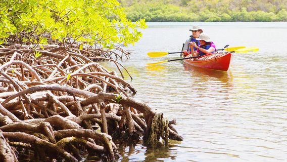 Virgin Islands Ecotours - St. John