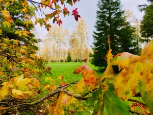 Westonbirt, The National Arboretum