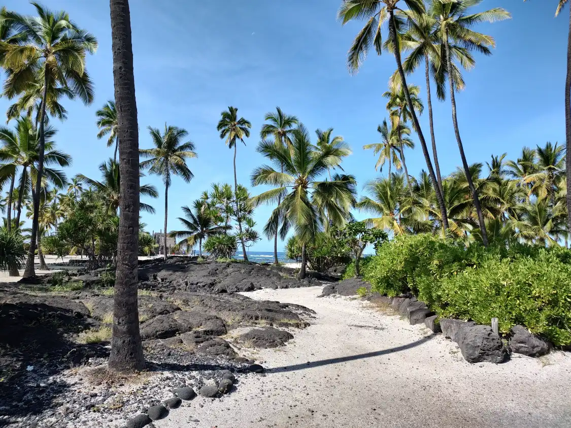 Holualoa Village 주변 호텔