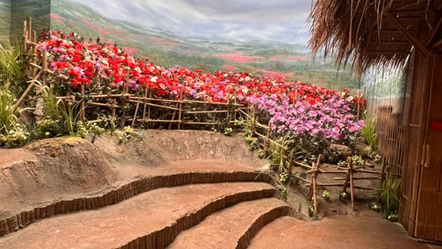 House of Opium Museum