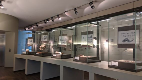 Le Grand Curtius Museum