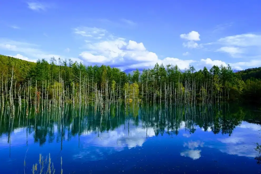 Hotels near Shirogane Blue Pond (Aoiike)