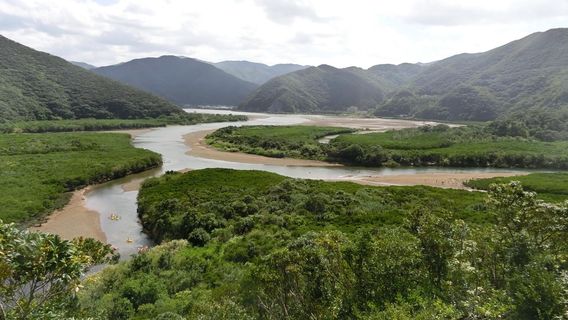 Kuroshio no Mori Mangrove Park