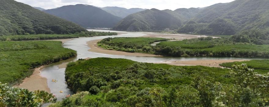 Kuroshio no Mori Mangrove Park